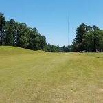 green grass with the flag in the hole.