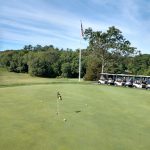 green grass with the flag in the hole.