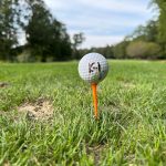 green grass with the flag in the hole.