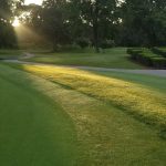 Panoramic view of a lush green golf course at Nutter's Crossing Golf Course. Smooth