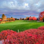 Panoramic view of a lush green golf course at OGA Golf Course. Smooth