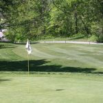 green grass with the flag in the hole.