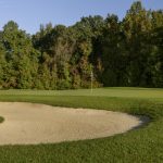 green grass with the flag in the hole.