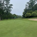 green grass with the flag in the hole.