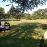 green grass with the flag in the hole.