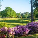 Panoramic view of a lush green golf course at Oak Knoll Country Club. Smooth