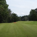 green grass with the flag in the hole.