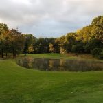 green grass with the flag in the hole.