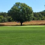 Panoramic view of a lush green golf course at Oak Summit Golf Course. Smooth