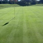 Panoramic view of a lush green golf course at Oakmont Green Golf Course. Smooth