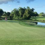 green grass with the flag in the hole.