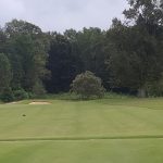 green grass with the flag in the hole.