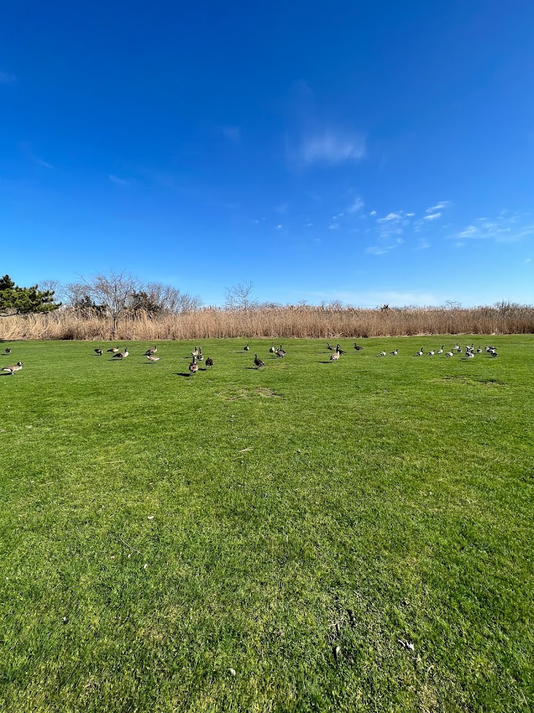 Panoramic view of a lush green golf course at Ocean City Golf Course. Smooth