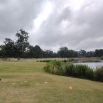 green grass with the flag in the hole.