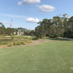 green grass with the flag in the hole.