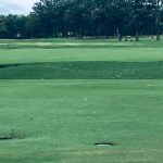 green grass with the flag in the hole.