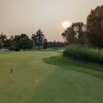 green grass with the flag in the hole.