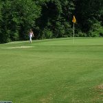 green grass with the flag in the hole.
