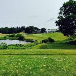 green grass with the flag in the hole.