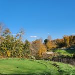 Panoramic view of a lush green golf course at Olde Stonewall Golf Club. Smooth