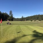 green grass with the flag in the hole.