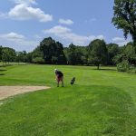 green grass with the flag in the hole.