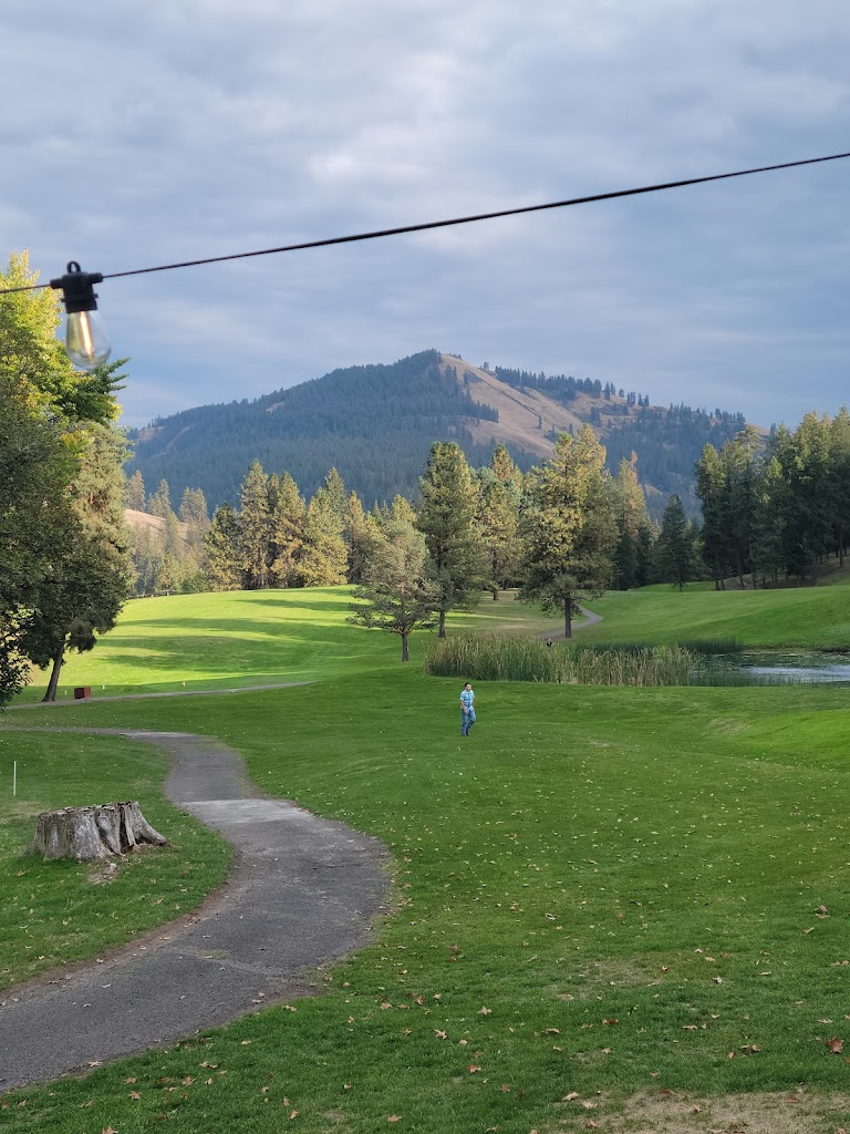Panoramic view of a lush green golf course at Orofino Golf & Country Club. Smooth