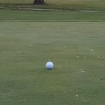 green grass with the flag in the hole.