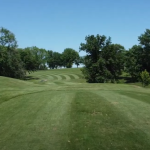 green grass with the flag in the hole.
