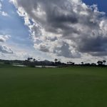 green grass with the flag in the hole.