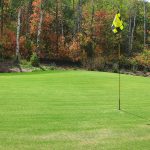 green grass with the flag in the hole.