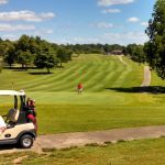 green grass with the flag in the hole.