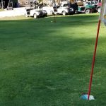 green grass with the flag in the hole.