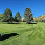 green grass with the flag in the hole.