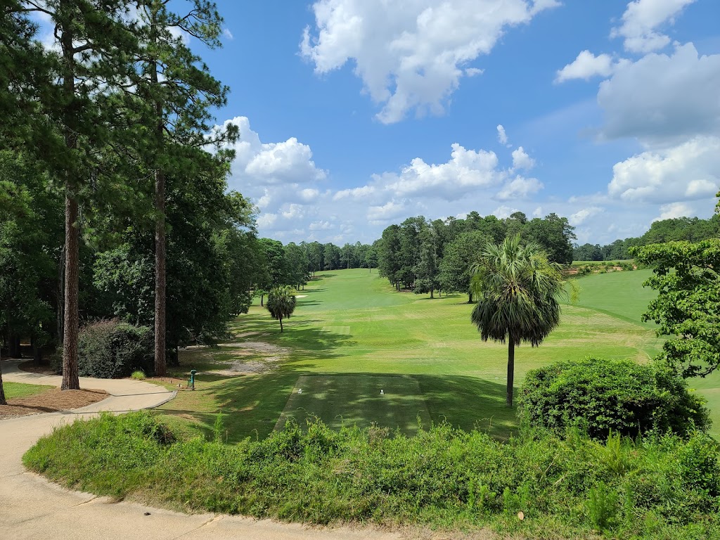 Panoramic view of a lush green golf course at Palmetto Golf Club. Smooth