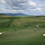 green grass with the flag in the hole.