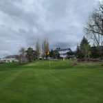 green grass with the flag in the hole.