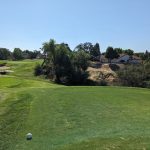 green grass with the flag in the hole.