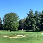 green grass with the flag in the hole.