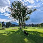 Panoramic view of a lush green golf course at Patty Jewett Golf Course. Smooth
