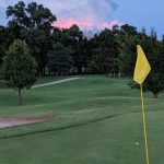 green grass with the flag in the hole.