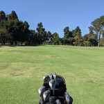 green grass with the flag in the hole.