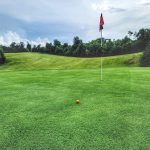 green grass with the flag in the hole.