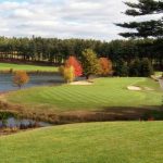 green grass with the flag in the hole.