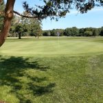 green grass with the flag in the hole.