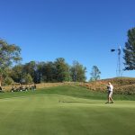 green grass with the flag in the hole.