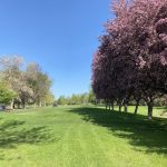 Panoramic view of a lush green golf course at Pheasant Acres Golf Course. Smooth