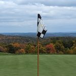 green grass with the flag in the hole.