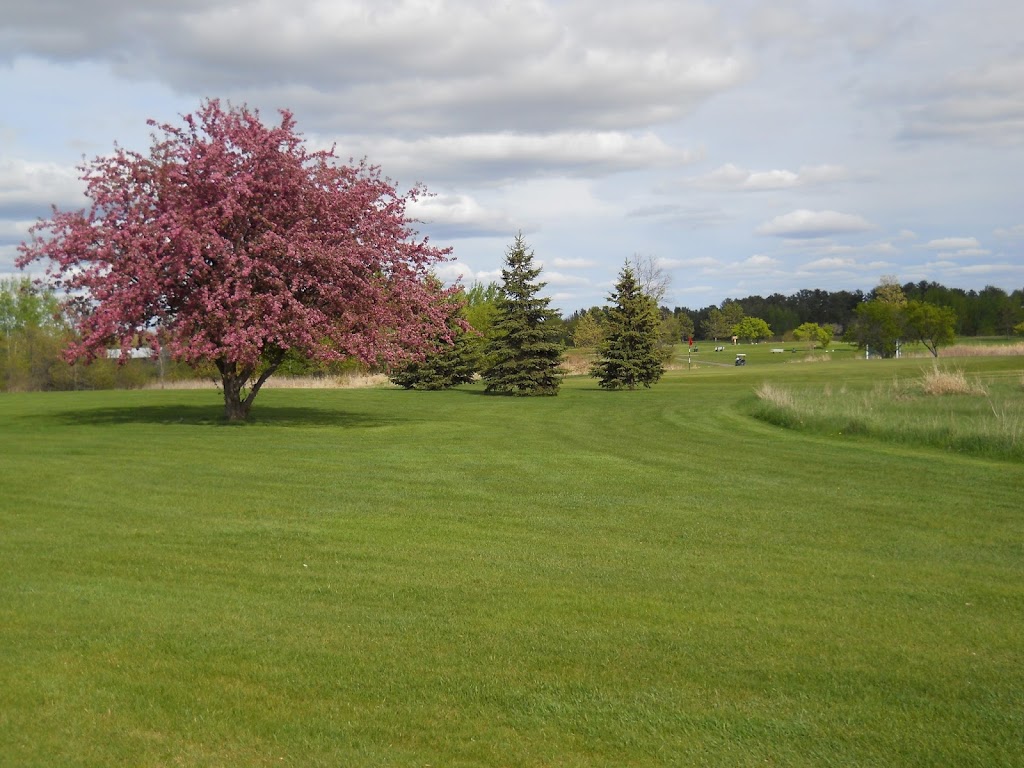 Panoramic view of a lush green golf course at Pine City Country Club. Smooth