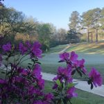 Panoramic view of a lush green golf course at Pine Creek Golf Club. Smooth